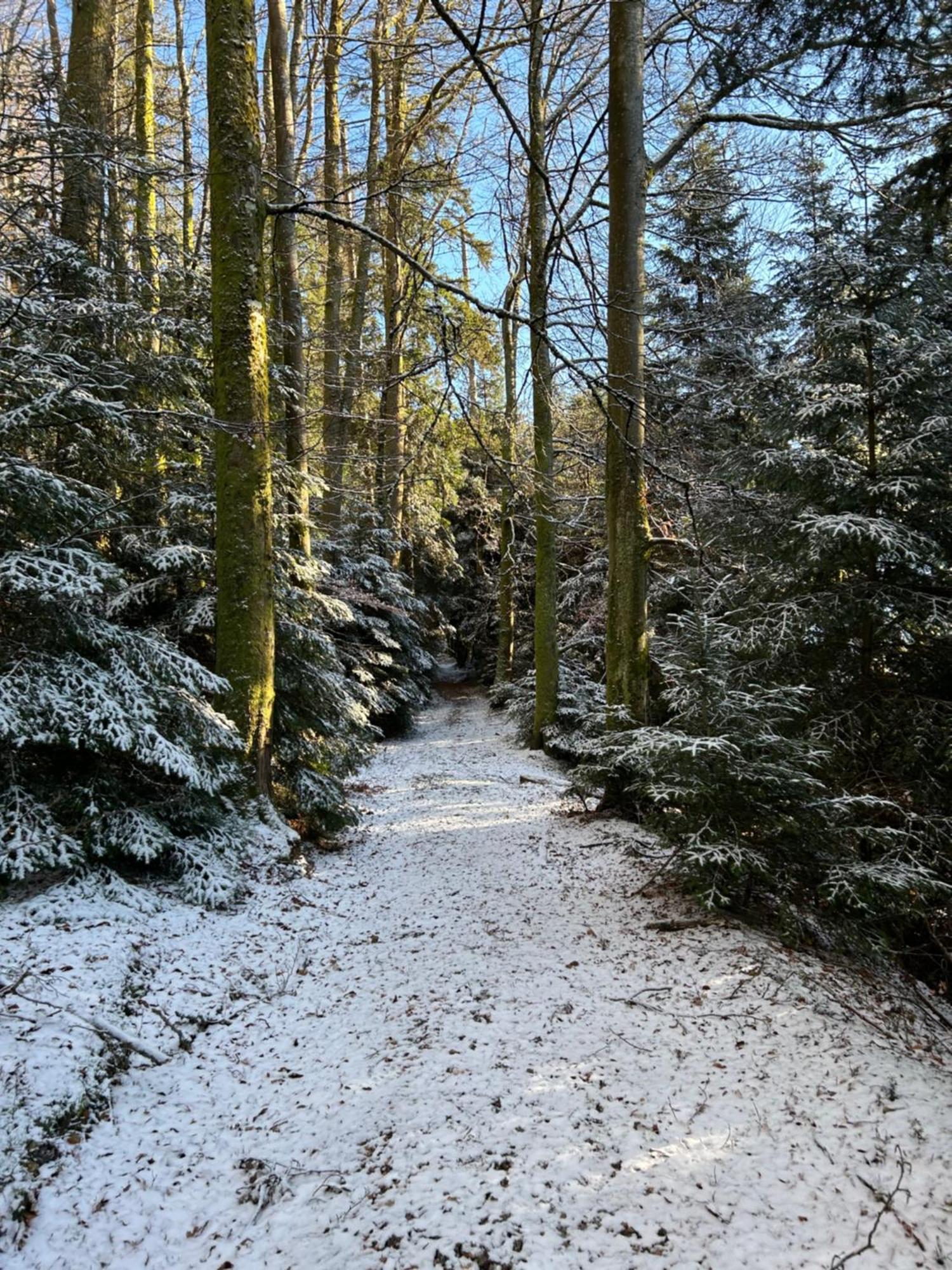 Camping Du Chateau Granges-sur-Vologne Buitenkant foto